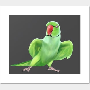 Indian Ringneck Parrot Posters and Art